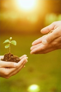 Salesforce powered Non-Profit CRM